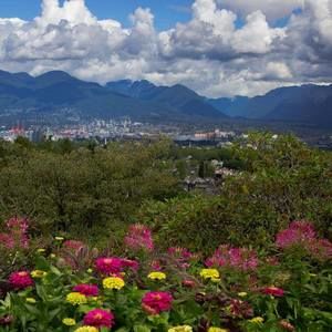 Meet your Posher, Gwilanne